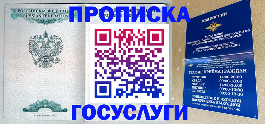 прописка гарантия в Пензе